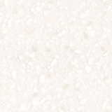 Antarctica