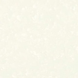 Arctic Ice