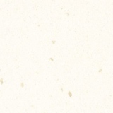 White Jasmine