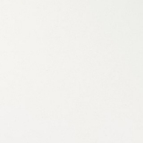 1194 white glitter